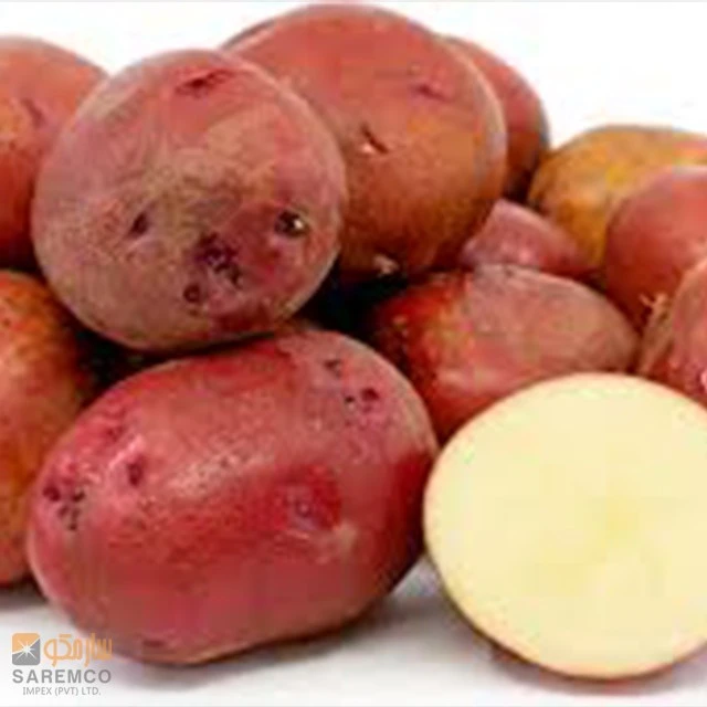 lady  Rosetta creamy Flesh  potatoes Export in bulk / Good For baking ,roasting / and for making fries