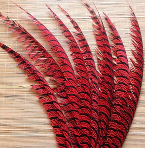 lady zebra pheasant feathers for sale cheap dyed pheasant feathers