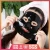 Manufacturer Supplier black hydrogel facial mask with high quality