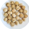 Manufacturers Best Selling New Arrival Delicious Whole Canned Mushrooms In Can