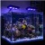 Import marine aquarium lighting 30W led reef lights to corals reef growing from China