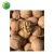 Import Massive Walnut Halves Manufacturer Dry Fruit Price Of Walnuts from China