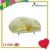 Import Medical Education Brain Anatomical Model from China