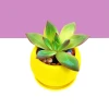 Mini Silicone Desktop Flower Tray Drop-Resistant Soft Glue Planting Bottle Office Green Small Plant Succulent Planting Container