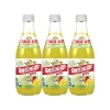 Most Popular Natural Low Cal Beverage with Monk Fruit Low Calorie Mango