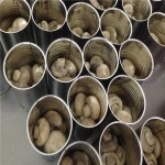 mushroom canned food