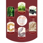 Natural Ingredients Chinese Herbal Foot Patch detox/foot pad adhesive parches detox  detoxification pads herb
