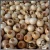 Import natural unfinished wood beads with hole custom hole wooden beads from China