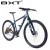 Import New BXT 29er Carbon Mountain Bike 1*12Speed Complete bicycle 29inch MTB 142*12/148*12mm from China