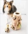 Import New creative - Outward Hound Hide-A-Squirrel and Puzzle Plush Squeaking Toys for Dogs from China