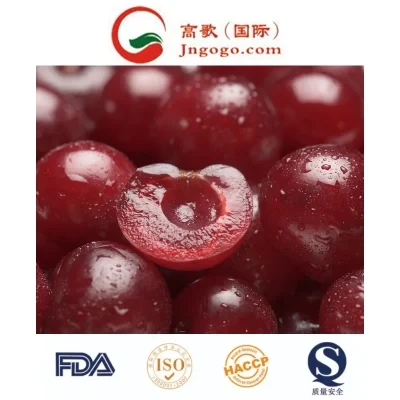New Crop IQF Frozen Red Sweet Cherry Hot Sale