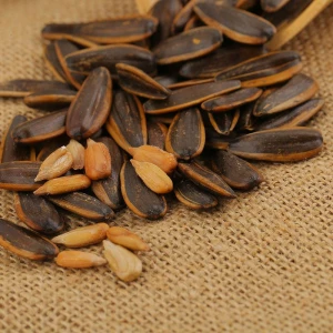 New Crop Roasted Sunflower Seeds With Pecan Flavor  For Hot Sale