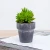 Import New design custom decorative small mini potted fake succulent artificial plant in pulp flowerpot from China