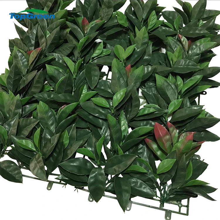 OEM Artificial Boxwood Plant Hedge Vertical Garden Green Leaf  Wall