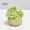 OEM artificial plastic plant bonsai artificial flower bonsai table top decoration green plant ornament clover office grass