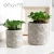 Import Oeuvre desktop imitation stone shell circular breathable green succulent succulent hyacinth bamboo flower pot from China