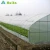 Import Other greenhouse cold frame green house hydroponic agricultural greenhouse from China