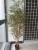 Import Outdoor indoor room decorative artificial lucky fabric bamboo leaves tree artificial plant in pot from China