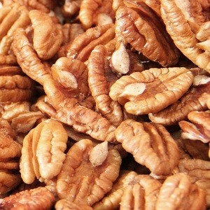Pecan nut in shell