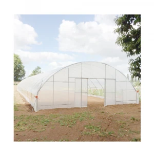 Pop-up Single Wide Span Greenhouse Domestic Hot Sale Tunnel Greenhouse Clear Plastic Greenhouse