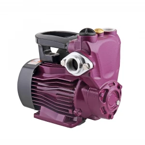 Portable 200w 0.25hp water pumps high pressure booster pump