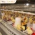 Import Poultry Equipment 120 Chicks 3/4 Tiers A-type Days Old Baby Layer Chicken Wire Mesh Rearing Cage from China