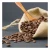Import Premium Fair Trade Guatemala SHB 100% Original Roasted Coffee Bean from South Korea