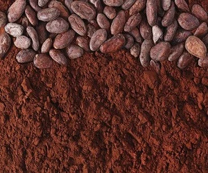 Premium Natural and Alkalized Cocoa Powder For Sale
