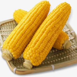 Premium quality air dried yellow corn for sale