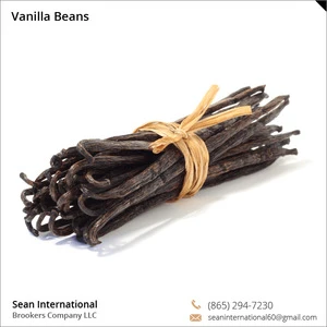 Premium Quality Wholesale Vanilla Beans Available for Bulk Purchase