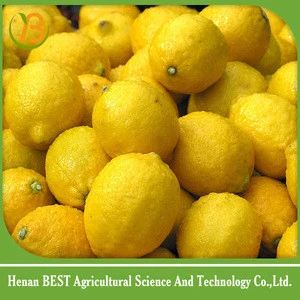 price of lemon fruit
