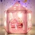 Import princess baby large space tents house indoor with lights mosquito net polyester children tent kids play playhouse from China