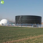 Professional design waste management use anaerobic digester biogas price