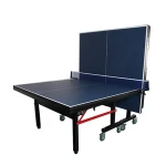 professional indoor 25mm moveable and foldable ping pong table tennis table for training