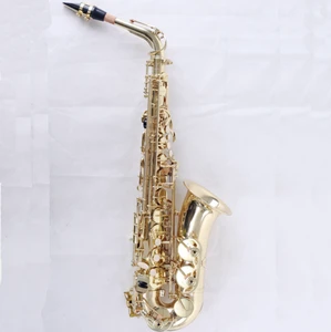 professional saxophone/alto saxophone/saxofone