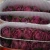 Import professional wholesale variety cut fresh flower fresh roses from Kunming China from China