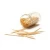 Import Promotional Eco-friendly interdental brush bamboo toothpicks for restaurant from Vietnam