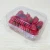 Promotional High Quality Frozen Salad Clamshell Plastic Fruit And Vegetable Tray