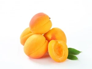 Pure Fresh Natural Apricot , Cheap apricots , Wholesale Apricots , Fresh Sweet apricots