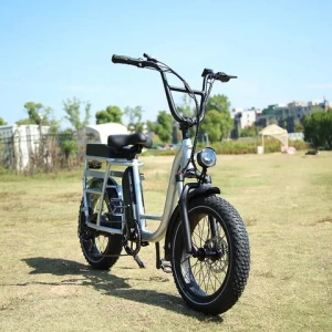 RaiderRunner-34F Electric Utility Bike 20" fat tire electric city bike electric bicycle electric cargo bike electric tricycles