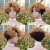 Import Real hair wigs short mechanism head sets inter-color partial afro pixie wigs from China