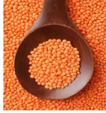 Red Lentils/ Canada Red Lentils / Red Split and Football Red type Red Lentils