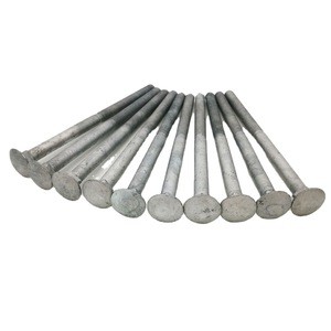 Round head bolts with short square neck