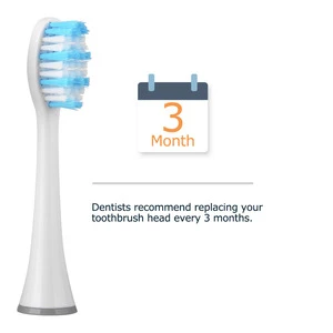 RST2922 oral hygiene Sonic electric toothbrush heads
