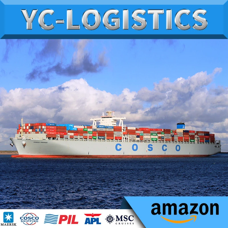 Sea freight shipping best cost from China to algeria FCL and LCL door to door