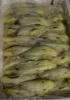 Seafood Nutritious Food Frozen illex Squid Roe