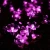Import SHENPU String Holiday Lights 100 Led Cherry Blossom Solar Outdoor Christmas Lights from China
