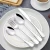Import Silverware Set with Steak Knives for 4 Food-grade Stainless Steel Flatware Cutlery Set For Home Kitchen Restaurant from India