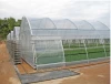 Single-span Greenhouse Plastic Film Agriculture Greenhouse Factory Direct Supply Hydroponics Greenhouse for Sale