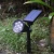 Import Solar garden lamp led powered strip garden flood light lights lighting outdoor solar led for crafts from China
